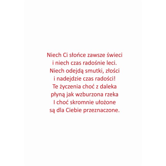 KARNET P4 -zdjęcie numer 2