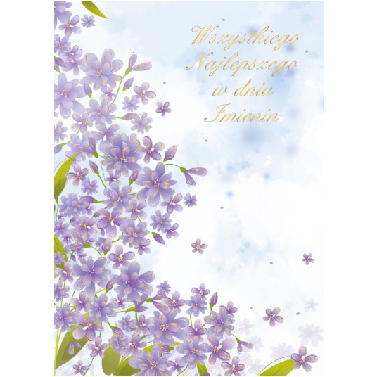 KARNET P6 -zdjęcie numer 1