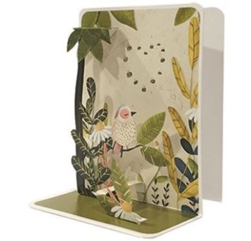 CP43 LES POP'S 17996 - K