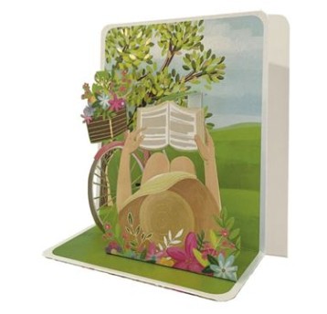 CP43 LES POP'S 20405