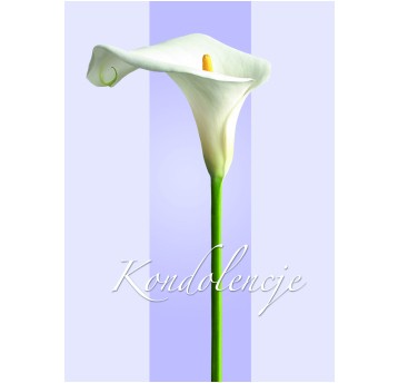 KARNET P2
