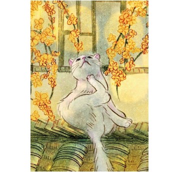 Notatnik - Kot o świcie