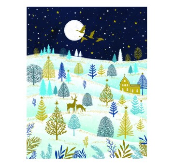 X23 NUIT ETOILEE 23245