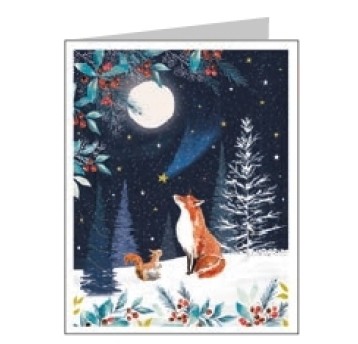 X23 NUIT ETOILEE 24007