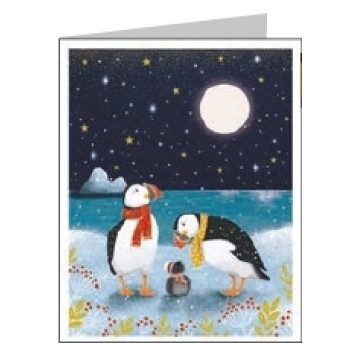 X23 NUIT ETOILEE 24008