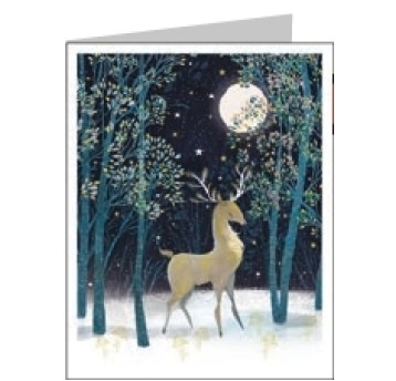 X23 NUIT ETOILEE 24010