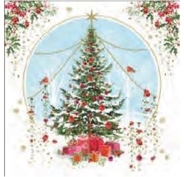 X28 CRISTALLES 23280