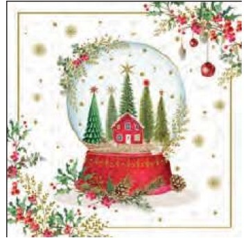 X28 CRISTALLES 23282